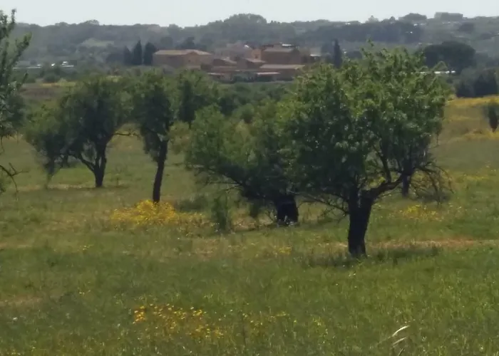 Bed & Breakfast Vento Di Tramontana *